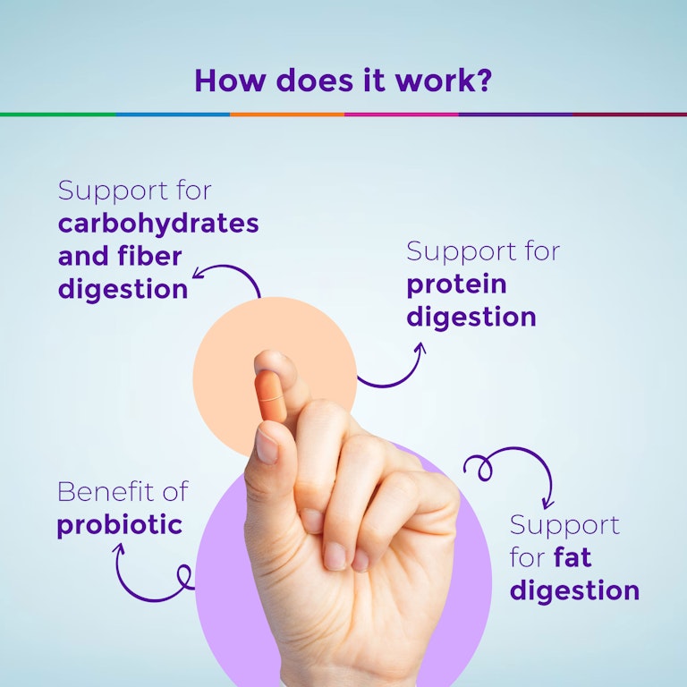 Advanced Digestive Enzymes + Probiotic Tablet - How does it work?